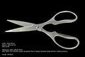 scissors04 001.jpg